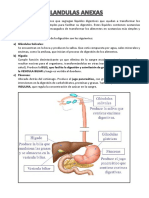  Fisiologia Digestiva