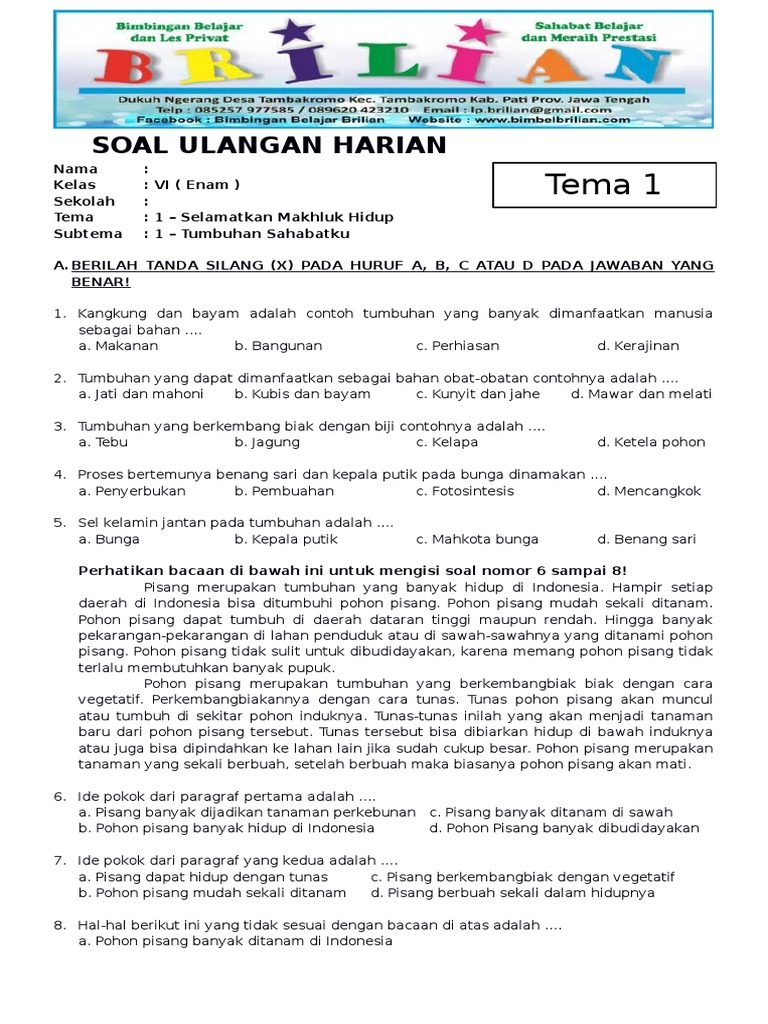 Soal K13 Kelas 6 SD Tema 1 Subtema 1 Tumbuhan Sahabatku