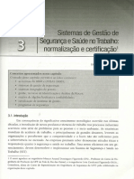 Sistemas de Gestão de Segurança e Saúde No Trabalho