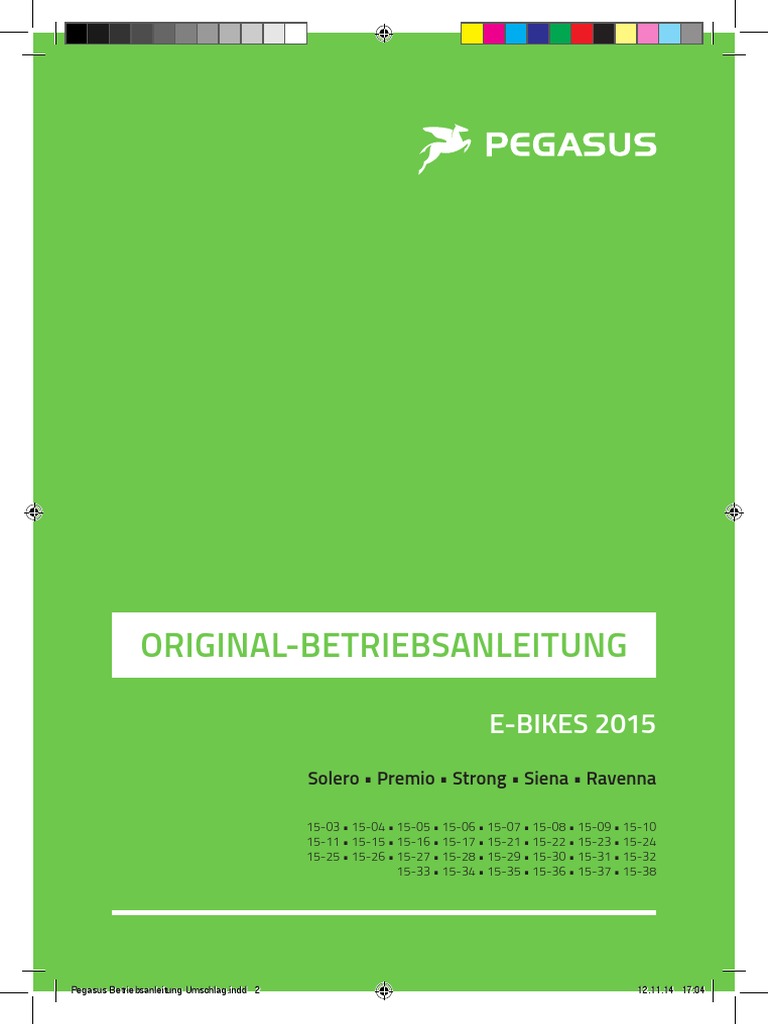 Pegasus E Bike Bedienungsanleitung PDF | PDF