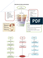 SPIDER WEB ACUTE RENAL FAILURE (ARF/AKI