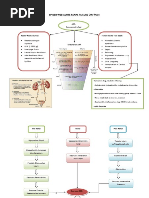 Spider Web Acute Renal Failure (1)