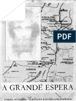 A Grande Espera (psicografia Corina Novelino - espirito Euripedes Barsanulfo).pdf