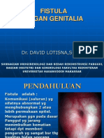18.fistula Organ Genitalia