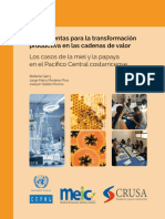Herramientas Para La Transformación Productiva en Las Cadenas de Valor Los Casos de La Miel y La Papaya en El Pacífico Central Costarricense