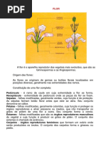 2- FLOR (1)