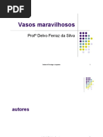 apresentação-vasos-maravilhosos-Delvo.pdf