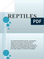 Reptiles Anfibios y Aves