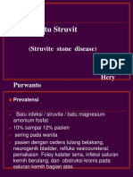 Batu Struvit