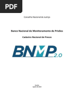 cadastro nacional de presos.pdf