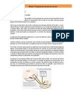 Modulo_V_Programacion_del_lado_del_servidor.pdf