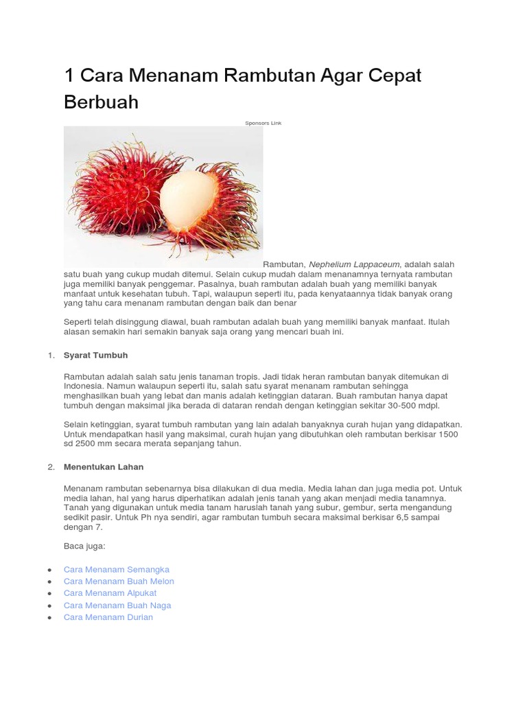 Pohon rambutan