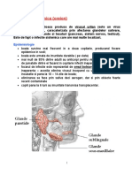 BOLI INFECTIOASE Parotidita Epidemica