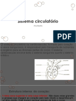 Sistema circulatório.pdf
