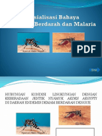 Sosialisasi DB Dan Malaria