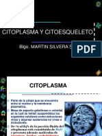 2da CLASE CITOPLASMA CITOESQUELETO