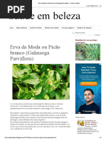 Erva da Moda ou Picão branco (Galinsoga Parviflora) - Saúde em beleza