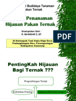 penanaman-hijauan-pakan-ternak2.ppt