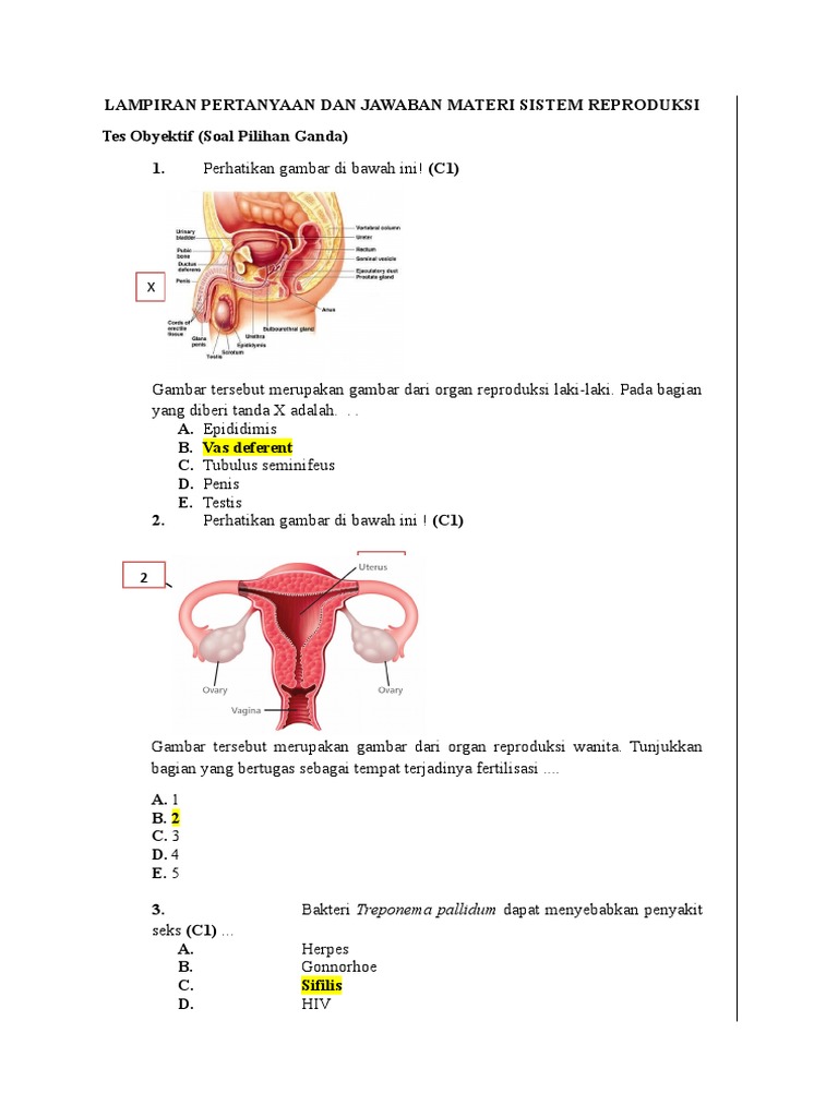 Soal Alat Reproduksi Manusiakelas 9