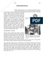 Spine%20Biomechanics.pdf