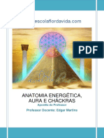 02-ANATOMIA-ENERGÉTICA-AURA-E-CHÁCKRAS.pdf