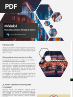 Módulo I Busqueda Avanzada