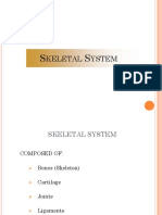 K_Brief Introduction about Skeletal System.ppt