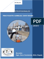 Informe Final de Practicas PDF