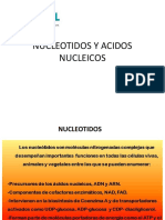 nucleotidos y acidos nucleicos