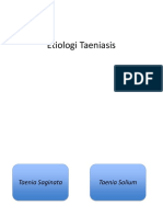 Etiologi Taeniasis