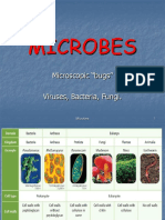 Microbes: Microscopic "Bugs" Viruses, Bacteria, Fungi