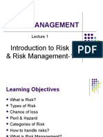 Introduction To Risk & Risk Management-1