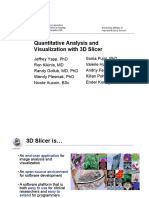 3d slicer.pdf