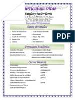 0 Curriculum  Estefany Javier Torres-2-2.docx