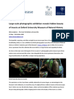 Microsculpture Levon Biss PDF