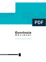 Curriculo-Nacional-2017-Word.docx
