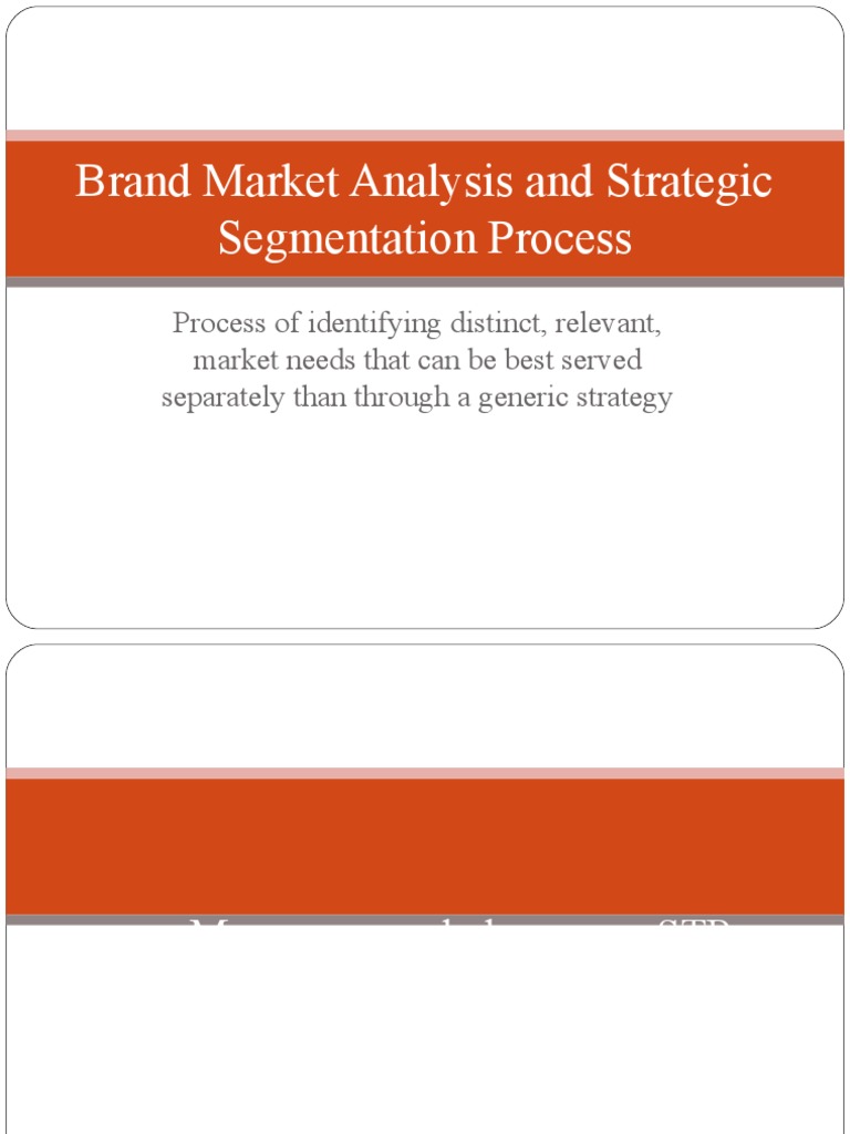 Market Segmentation and Positioning Guide | PDF | Market Segmentation ...