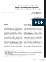 SFF de Resina PDF