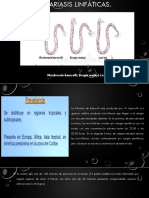 Filariasis linfáticas: causas, síntomas y zonas endémicas