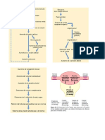 Tablas Renal Fisio