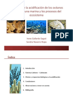 Ocean Acidification-1 (1)