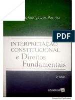 Jane Reis - Interpretação Constitucional e DFs - Cap 4