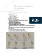 Resumen de Ortodoncia PARCIAL 2