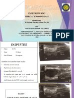 USG Reveals 3.25 x 2.84 cm Solid Lesion in Left Breast