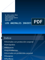 Los animales invertebrados.pptx