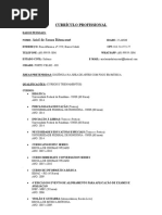Currículo Profissional Ariel