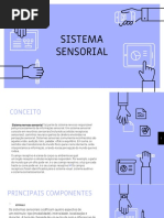 SISTEMA SENSORIAL PART.1.pptx