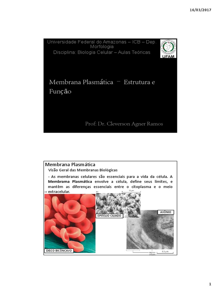 Estrutura e Função da Membrana Plasmática | PDF | Membrana celular | Osmose