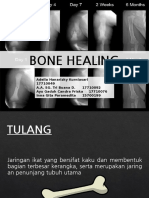 Bone Healing Lapsus Ortho
