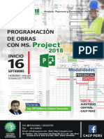 MS Project 2018